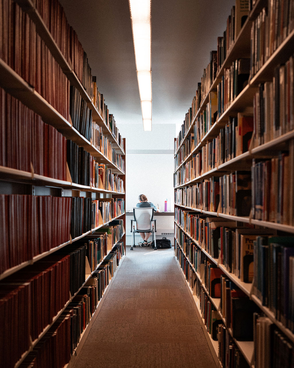 Étagères de la bibliothèque du campus de Chicago de l&#039;université Adler.