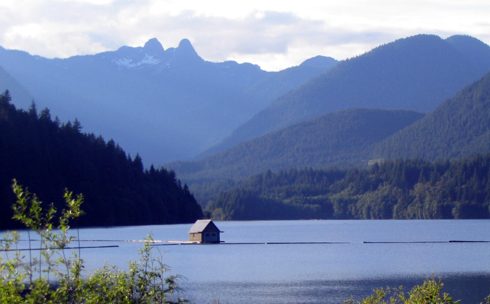 Photo of Colin Osaka